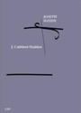 Cover: Haydn - Cambridge Scholars Publishing