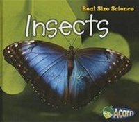 Enlarge image Cover: Insects - Heinemann Educational Books