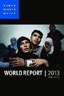 Cover: World Report 2013 - Policy Press