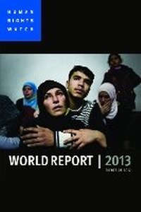 Enlarge image Cover: World Report 2013 - Policy Press