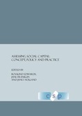 Cover: Assessing Social Capital - Cambridge Scholars Publishing