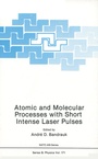 Cover: Atomic and Molecular Processes with Short Intense Laser Pulses - Springer