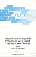Cover: Atomic and Molecular Processes with Short Intense Laser Pulses - Springer