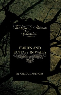 Abbildung von: Fairies and Fantasy in Wales - Short Stories from the Mythical Past to the Modern Day (Fantasy and Horror Classics) - Read Books