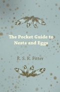Cover: The Pocket Guide to Nests and Eggs - Read Books