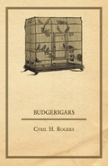 Cover: Budgerigars - Read Books