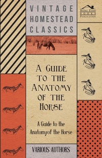 Abbildung von: A Guide to the Anatomy of the Horse - A Collection of Historical Articles on the Skeleton, Hoof, Teeth, Locomotion and Other Aspects of Equine Anatomy - Read Books