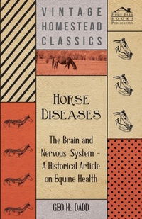 Abbildung von: Horse Diseases - The Brain and Nervous System - A Historical Article on Equine Health - Read Books