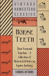 Abbildung von: Horse Teeth - Their Form and Function - A Collection of Historical Articles on Equine Anatomy - Read Books