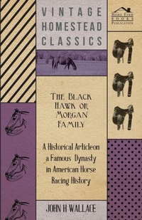 Abbildung von: The Black Hawk or Morgan Family - A Historical Article on a Famous Dynasty in American Horse Racing History - Read Books