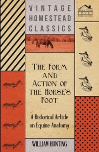 Abbildung von: The Form and Action of the Horses Foot - A Historical Article on Equine Anatomy - Read Books