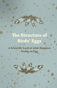 Abbildung von: The Structure of Birds Eggs - A Scientific Look at What Happens Inside an Egg - Read Books