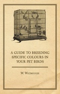 Cover: A Guide to Breeding Specific Colours in Your Pet Birds - Read Books