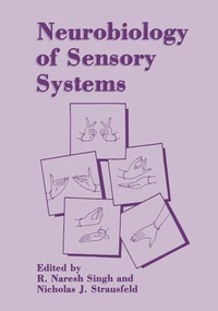 Abbildung von: Neurobiology of Sensory Systems - Springer