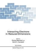 Cover: Interacting Electrons in Reduced Dimensions - Springer