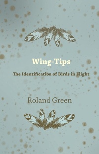 Enlarge image Cover: Wing-Tips - The Identification of Birds in Flight - Read Books