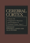Bild: Comparative Structure and Evolution of Cerebral Cortex, Part I - Springer