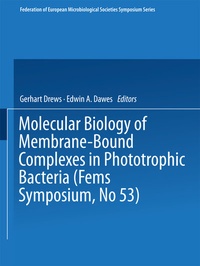 Abbildung von: Molecular Biology of Membrane-Bound Complexes in Phototrophic Bacteria - Springer