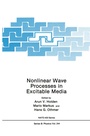 Cover: Nonlinear Wave Processes in Excitable Media - Springer