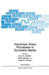 Enlarge image Cover: Nonlinear Wave Processes in Excitable Media - Springer