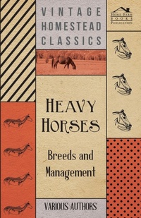Abbildung von: Heavy Horses - Breeds And Management - Read Books