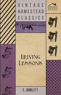 Abbildung von: Driving Lessons - Read Books