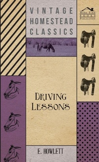 Abbildung von: Driving Lessons - Read Books
