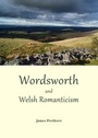 Cover: Wordsworth and Welsh Romanticism - Cambridge Scholars Publishing