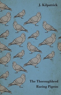 Enlarge image Cover: The Thoroughbred Racing Pigeon - Read Books