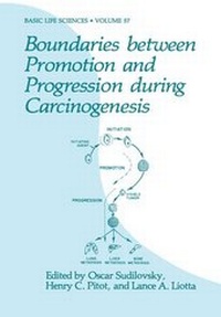 Enlarge image Cover: Boundaries between Promotion and Progression during Carcinogenesis - Kluwer Academic / Plenum Publishers