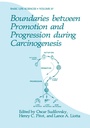 Cover: Boundaries between Promotion and Progression during Carcinogenesis - Springer