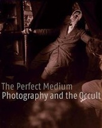 Enlarge image Cover: The Perfect Medium - Yale University Press