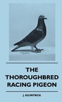 Cover: The Thoroughbred Racing Pigeon - Read Books