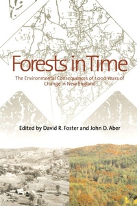 Enlarge image Cover: Forests in Time - Yale University Press