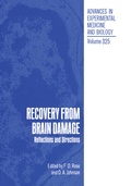 Bild: Recovery from Brain Damage - Springer