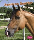 Cover: American Quarter Horses - Capstone Press