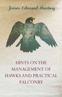 Cover: Hints on the Management of Hawks and Practical Falconry - Read Books