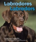 Cover: Labradores/Labradors - Capstone Press