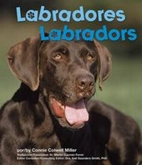 Enlarge image Cover: Labradores/Labradors - Capstone Press