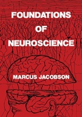 Bild: Foundations of Neuroscience - Springer