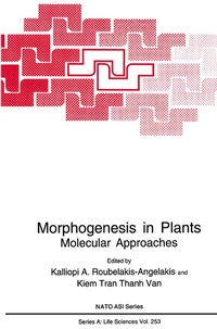 Abbildung von: Morphogenesis in Plants - Springer