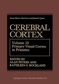 Abbildung von: Cerebral Cortex - Springer