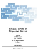 Cover: Singular Limits of Dispersive Waves - Springer