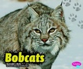 Cover: Bobcats - Capstone Press