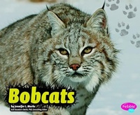 Enlarge image Cover: Bobcats - Capstone Press
