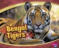 Cover: Asian Animals Bengal Tigers - Capstone Press