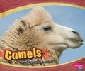 Cover: Asian Animals Camels - Capstone Press