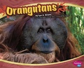 Cover: Asian Animals Orangutans - Capstone Press