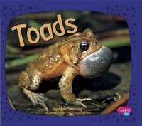 Enlarge image Cover: Amphibians Toads - Capstone Press