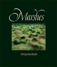Enlarge image Cover: Marshes - Yale University Press